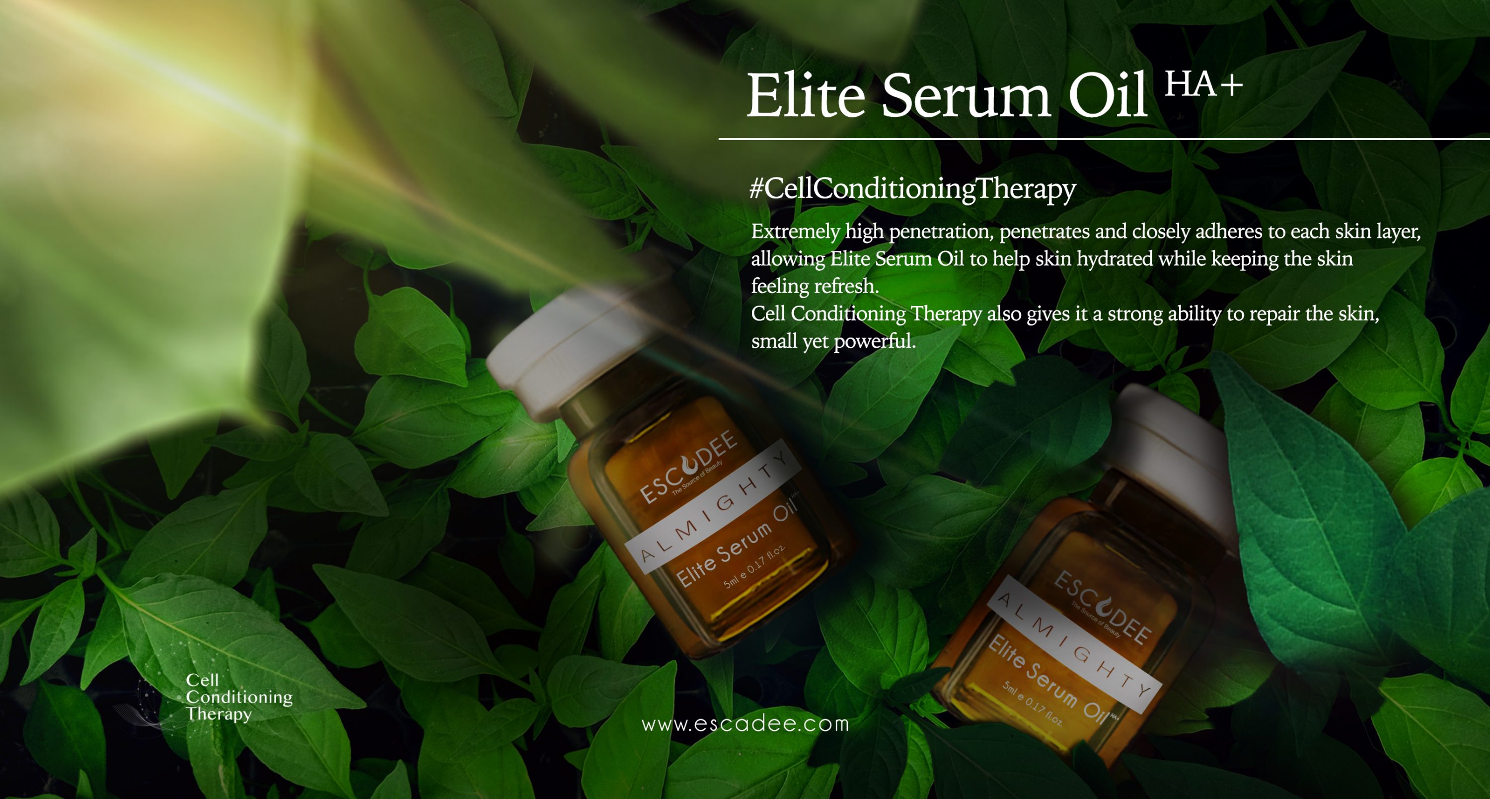 Escadee Elite Serum Oil_Almighty Series_Cell Conditioning Therapy